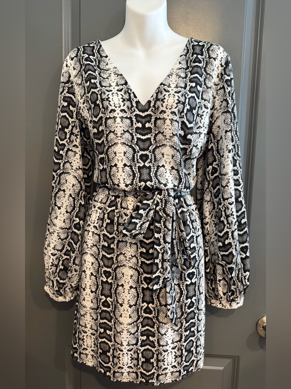 Express Chiffon Snakeskin Print Long Sleeve Mini Dress
